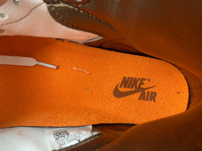 Air Jordan 1 High OG WMNS “Dusted Clay” FQ2941-200