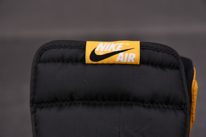 AIR JORDAN 1 HIGH OG “POLLEN” 555088-701