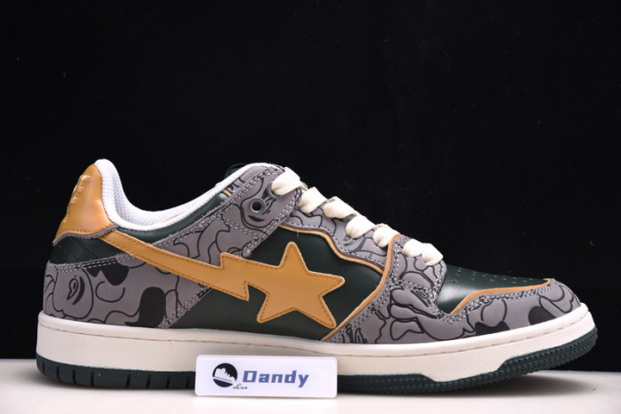 BAPE Shoe